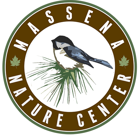 Massena Nature Center Logo - Nicandri Nature Center